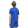 adidas Team Icon 25 Jersey (Short Sleeve)