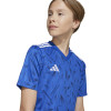 adidas Team Icon 25 Jersey (Short Sleeve)
