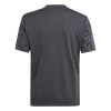 adidas Team Icon 25 Jersey (Short Sleeve)