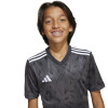 adidas Team Icon 25 Jersey (Short Sleeve)