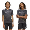 adidas Team Icon 25 Jersey (Short Sleeve)