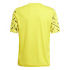 adidas Team Icon 25 Jersey (Short Sleeve)