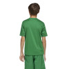 adidas Team Icon 25 Jersey (Short Sleeve)