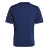 adidas Team Icon 25 Jersey (Short Sleeve)