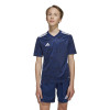 adidas Team Icon 25 Jersey (Short Sleeve)