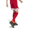 adidas Squadra 25 Shorts