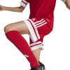 adidas Squadra 25 Shorts