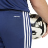 adidas Squadra 25 Shorts