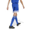 adidas Squadra 25 Shorts