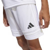 adidas Squadra 25 Shorts