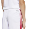 adidas Squadra 25 Shorts