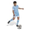 adidas Squadra 25 Shorts