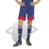adidas Squadra 25 Shorts