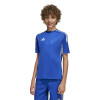 adidas Tiro 25 Competition Match Jersey (Short Sleeve)