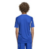 adidas Tiro 25 Competition Match Jersey (Short Sleeve)