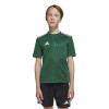 adidas Campeon 25 Jersey (Short Sleeve)