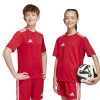 adidas Campeon 25 Jersey (Short Sleeve)
