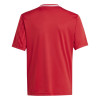 adidas Campeon 25 Jersey (Short Sleeve)