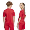 adidas Campeon 25 Jersey (Short Sleeve)