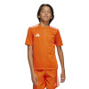 adidas Campeon 25 Jersey (Short Sleeve)