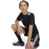 adidas Campeon 25 Jersey (Short Sleeve)