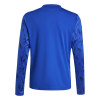 adidas Team Icon 25 Jersey (Long Sleeve)
