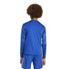 adidas Team Icon 25 Jersey (Long Sleeve)