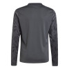adidas Team Icon 25 Jersey (Long Sleeve)