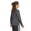 adidas Team Icon 25 Jersey (Long Sleeve)