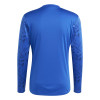 adidas Team Icon 25 Jersey (Long Sleeve)