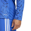 adidas Team Icon 25 Jersey (Long Sleeve)