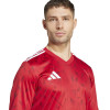 adidas Team Icon 25 Jersey (Long Sleeve)