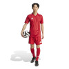 adidas Team Icon 25 Jersey (Short Sleeve)