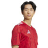 adidas Team Icon 25 Jersey (Short Sleeve)