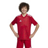 adidas Team Icon 25 Jersey (Short Sleeve)