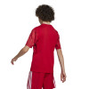 adidas Team Icon 25 Jersey (Short Sleeve)