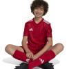 adidas Team Icon 25 Jersey (Short Sleeve)