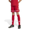 adidas Squadra 25 Shorts