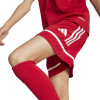 adidas Squadra 25 Shorts