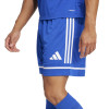 adidas Squadra 25 Shorts