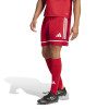 adidas Squadra 25 Shorts