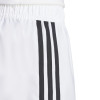 adidas Tastigo 25 Shorts
