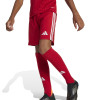 adidas Tastigo 25 Shorts