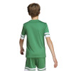adidas Squadra 25 Jersey (Short Sleeve)