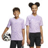 adidas Team Icon 25 Jersey (Short Sleeve)