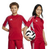 adidas Tiro 25 Competition Match Jersey (Short Sleeve)