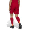 adidas Tiro 25 Competition Match Shorts
