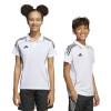adidas Tiro 25 Competition Polo Shirt (Short Sleeve)