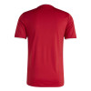 adidas Entrada 26 Jersey