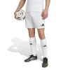 adidas Entrada 26 Shorts